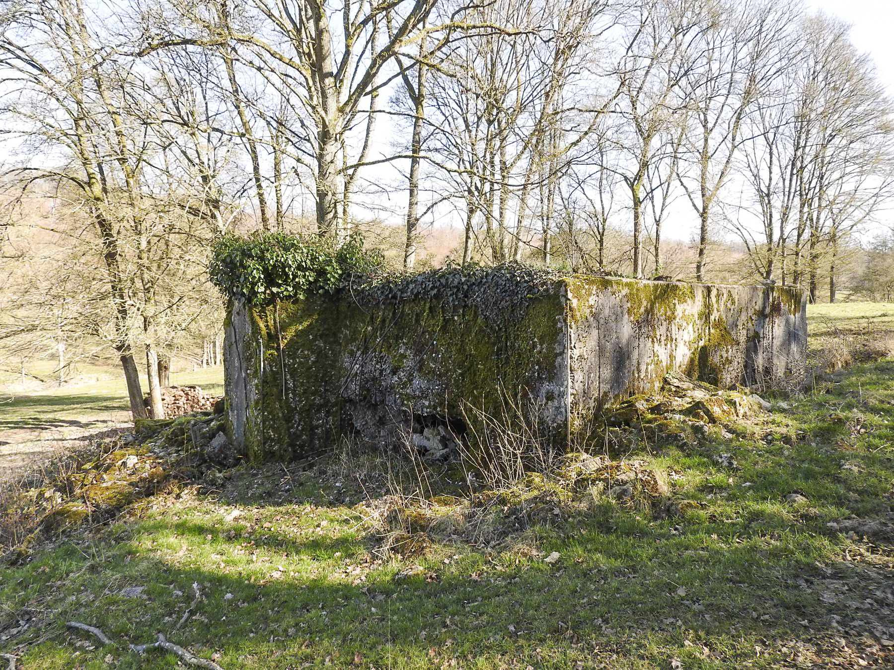 Ligne Maginot - MUEHLENBACH 6 - (Blockhaus pour canon) - La façade de tir vers le vallon du Muehlenbach. - STENGER Mathieu