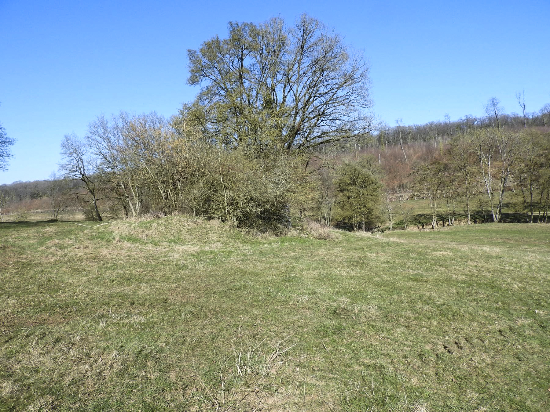 Ligne Maginot - MUEHLENBACH 7 - (Blockhaus pour canon) - La situation du blockhaus. - STENGER Mathieu