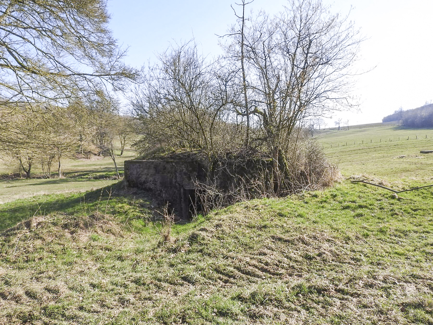 Ligne Maginot - MUEHLENBACH 7 - (Blockhaus pour canon) - L'entrée du blockhaus. - STENGER Mathieu