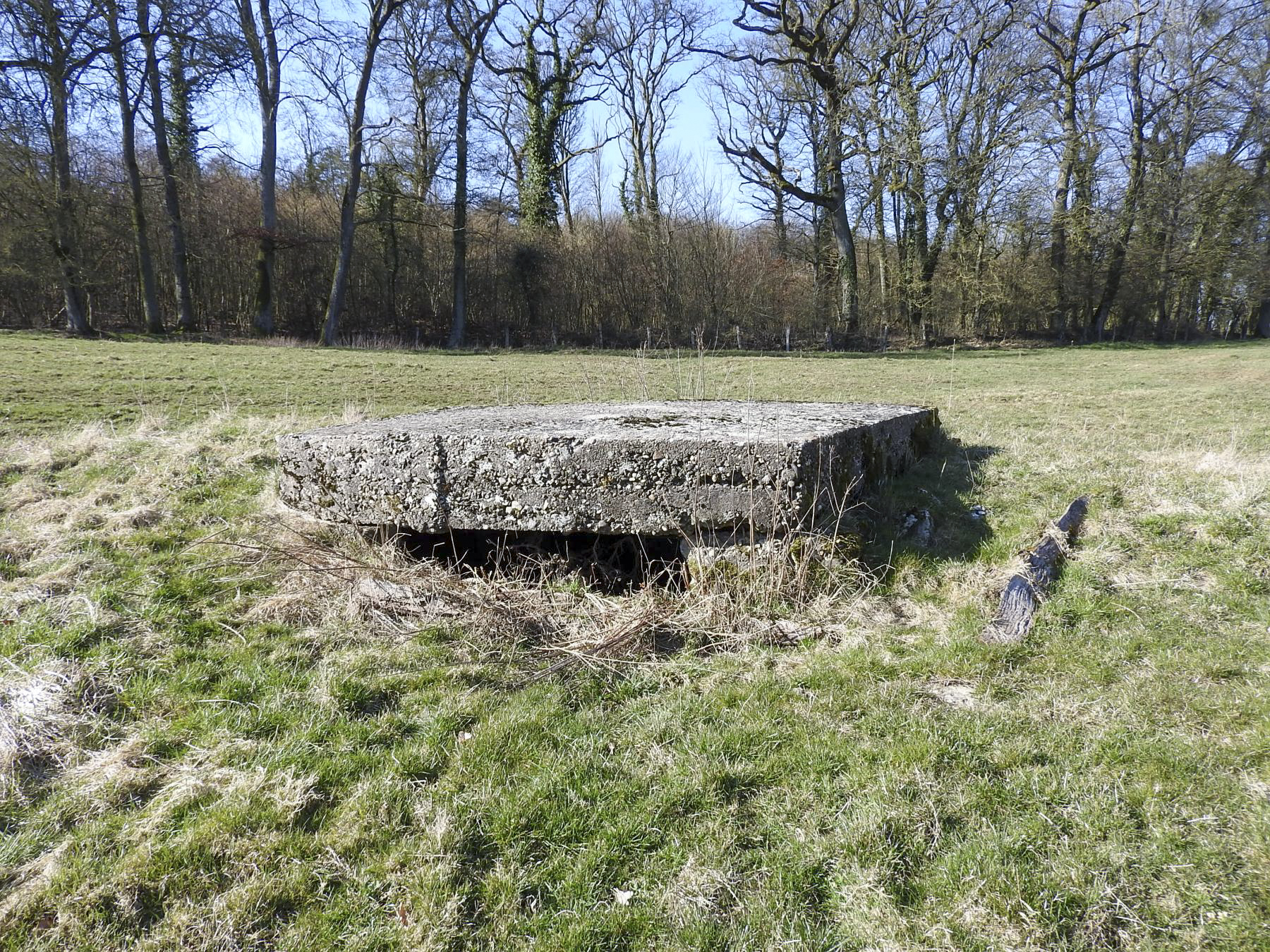 Ligne Maginot - MUEHLENBACH 8 - (Observatoire indéterminé) - La façade avec un unique créneaux d'observation. - STENGER Mathieu