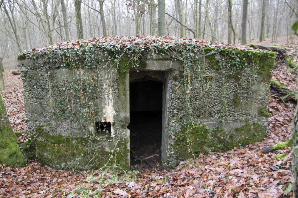 Ligne Maginot - ROCKERTEN (QUARTIER BOIS D'OTTONVILLE - III/161°RIF) - (PC de Quartier) -  - Alain Perouffe