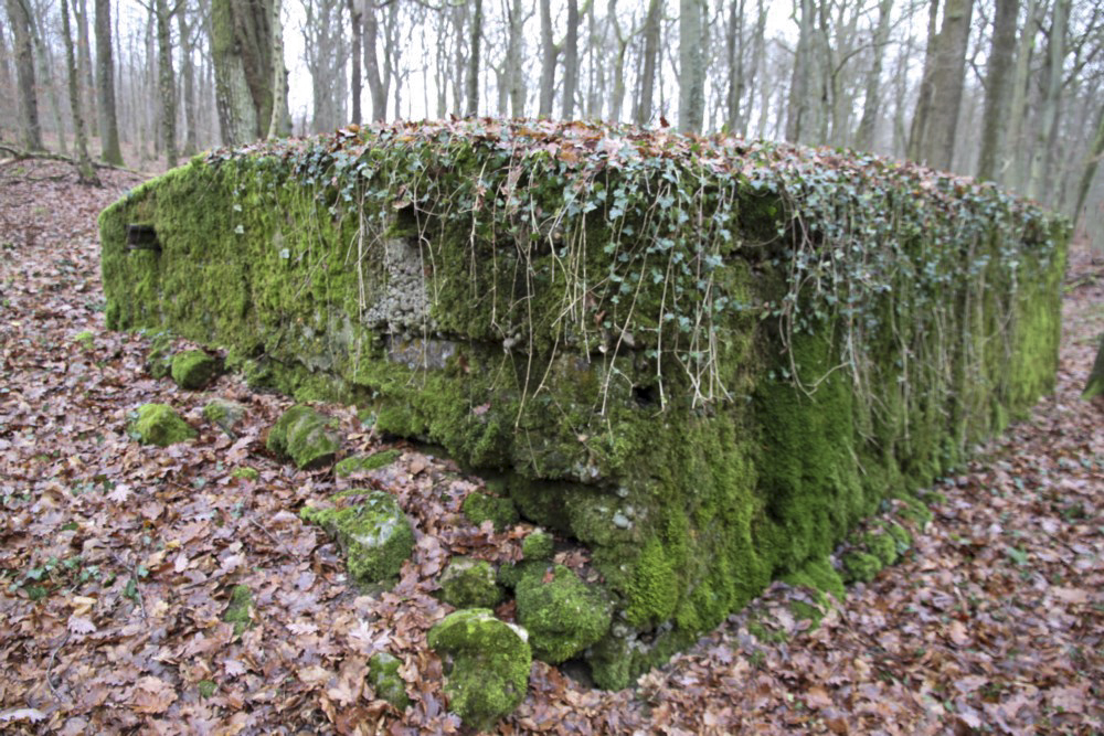 Ligne Maginot - ROCKERTEN (QUARTIER BOIS D'OTTONVILLE - III/161°RIF) - (PC de Quartier) -  - Alain Perouffe