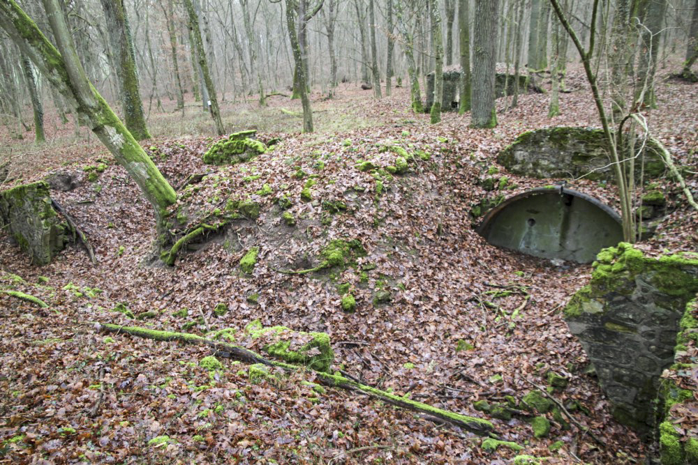 Ligne Maginot - ROCKERTEN (QUARTIER BOIS D'OTTONVILLE - III/161°RIF) - (PC de Quartier) -  - Alain Perouffe