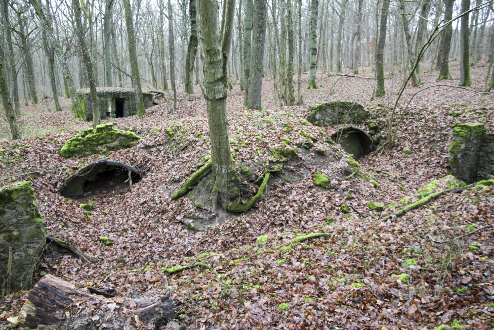 Ligne Maginot - ROCKERTEN (QUARTIER BOIS D'OTTONVILLE - III/161°RIF) - (PC de Quartier) -  - Alain Perouffe