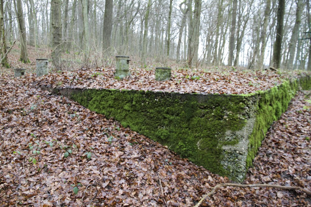 Ligne Maginot - ROCKERTEN (QUARTIER BOIS D'OTTONVILLE - III/161°RIF) - (PC de Quartier) - L'ouvrage principal - Alain Perouffe