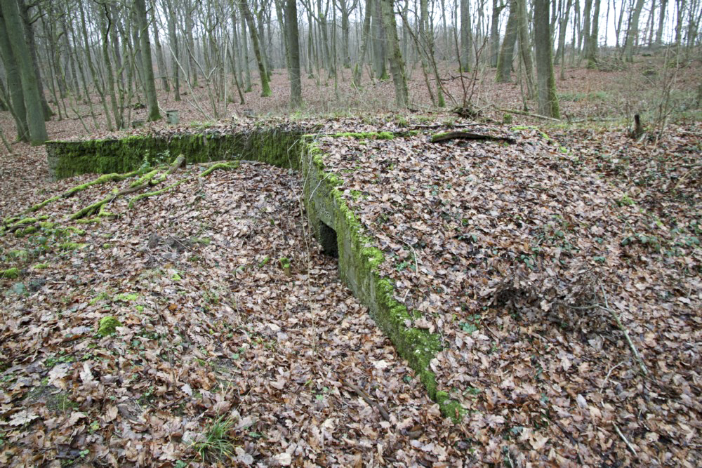Ligne Maginot - ROCKERTEN (QUARTIER BOIS D'OTTONVILLE - III/161°RIF) - (PC de Quartier) - L'ouvrage principal - Alain Perouffe
