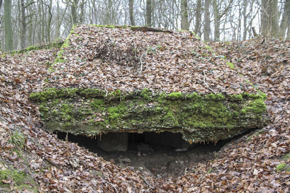 Ligne Maginot - ROCKERTEN (QUARTIER BOIS D'OTTONVILLE - III/161°RIF) - (PC de Quartier) - L'ouvrage principal - Alain Perouffe