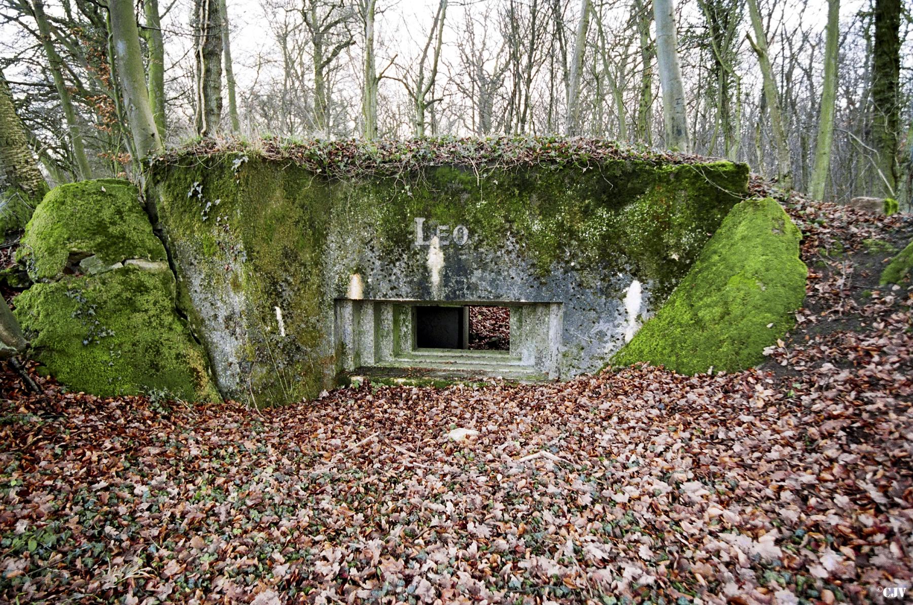 Ligne Maginot - STEINRITZ EST - LEO - (Blockhaus pour canon) -  - Lia VERMEULEN