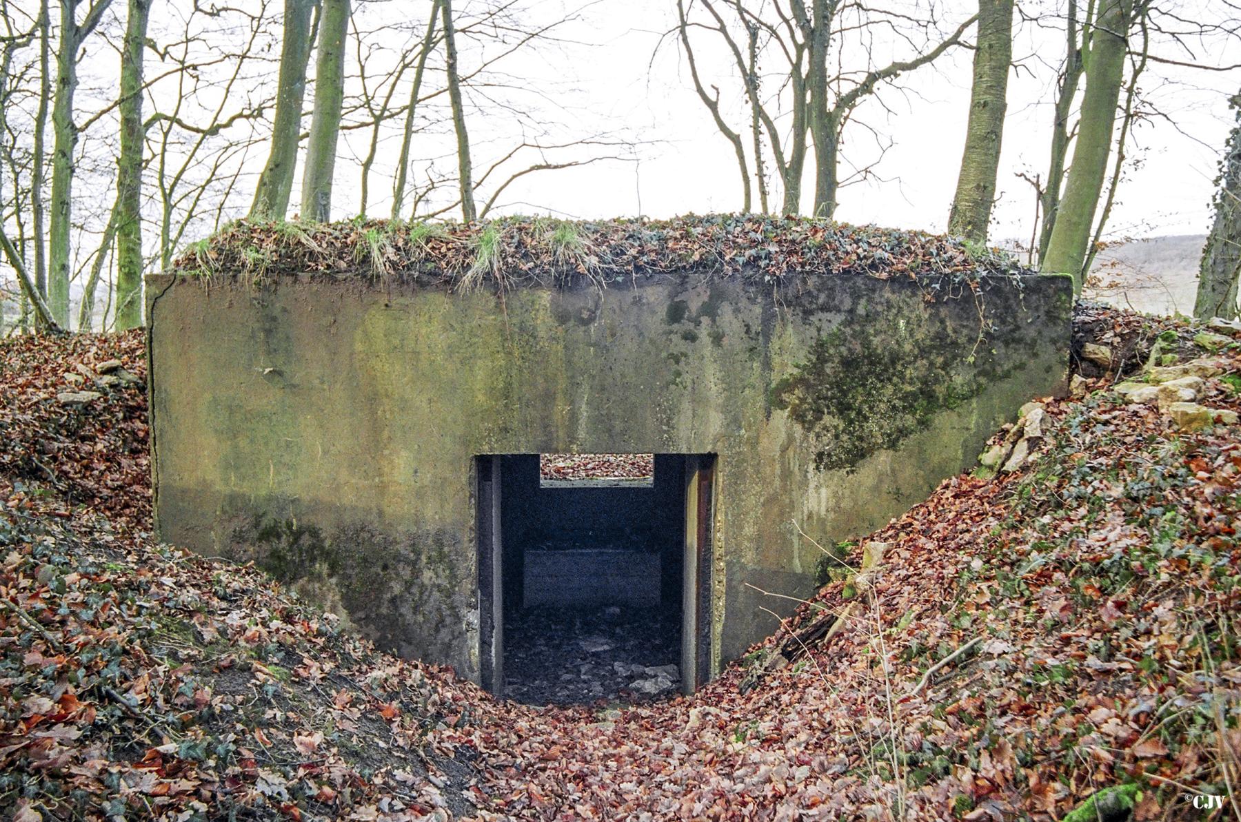 Ligne Maginot - STEINRITZ EST - LEO - (Blockhaus pour canon) -  - Lia VERMEULEN
