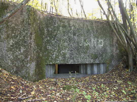 Ligne Maginot - STEINRITZ OUEST - JANO - (Blockhaus pour canon) -  - AALMA - lignemaginot.com