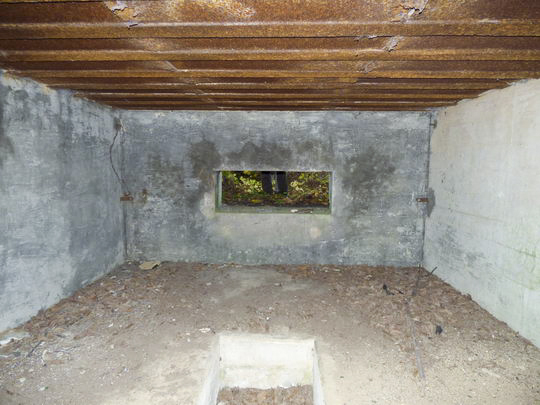 Ligne Maginot - STEINRITZ OUEST - JANO - (Blockhaus pour canon) -  - AALMA - lignemaginot.com