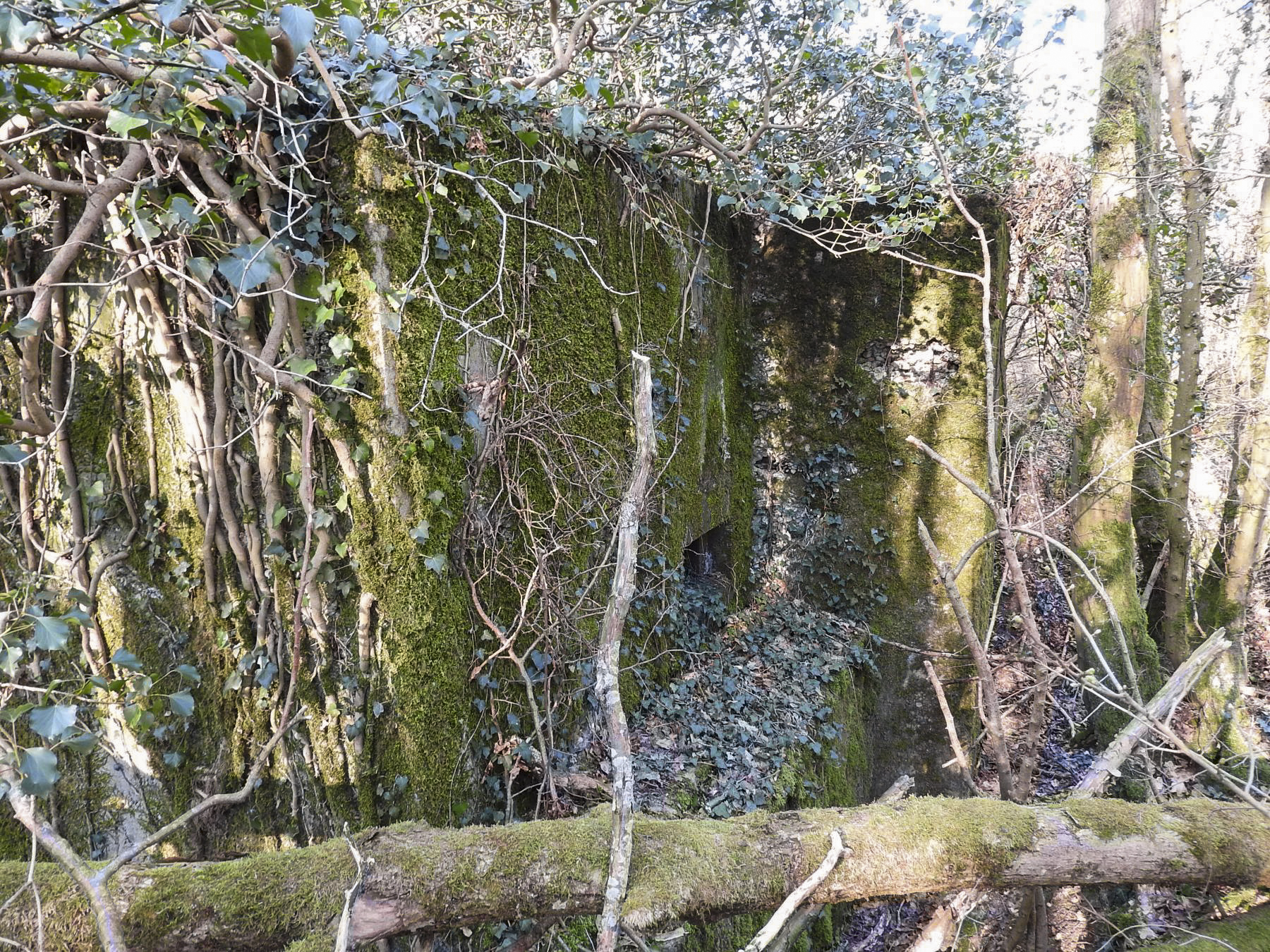 Ligne Maginot - BB163 - STUDEN NORD-EST - (Blockhaus pour arme infanterie) - La façade de tir. - STENGER Mathieu