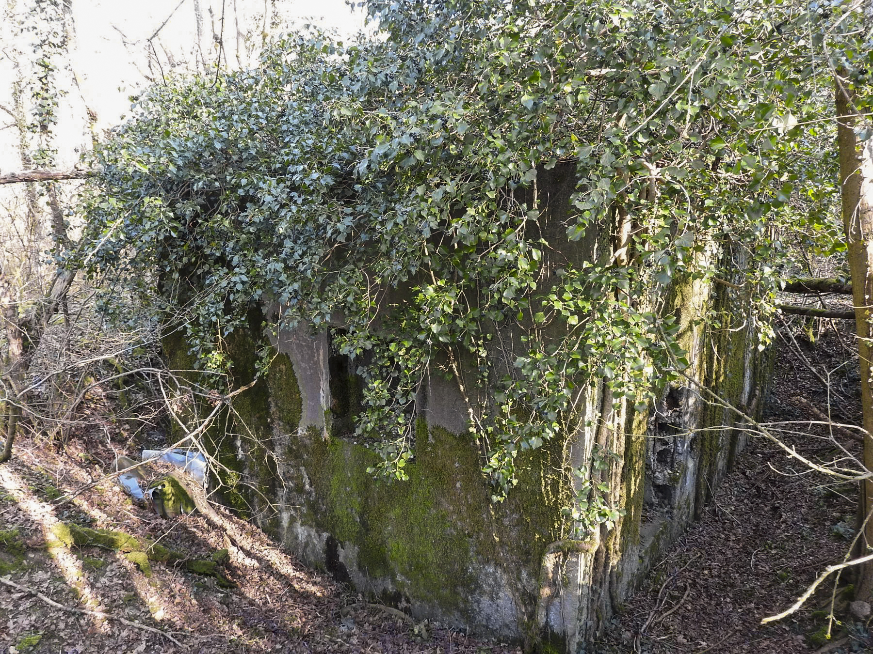 Ligne Maginot - BB163 - STUDEN NORD-EST - (Blockhaus pour arme infanterie) - La façade arrière avec un créneau pour FM; à droite l'entrée. - STENGER Mathieu