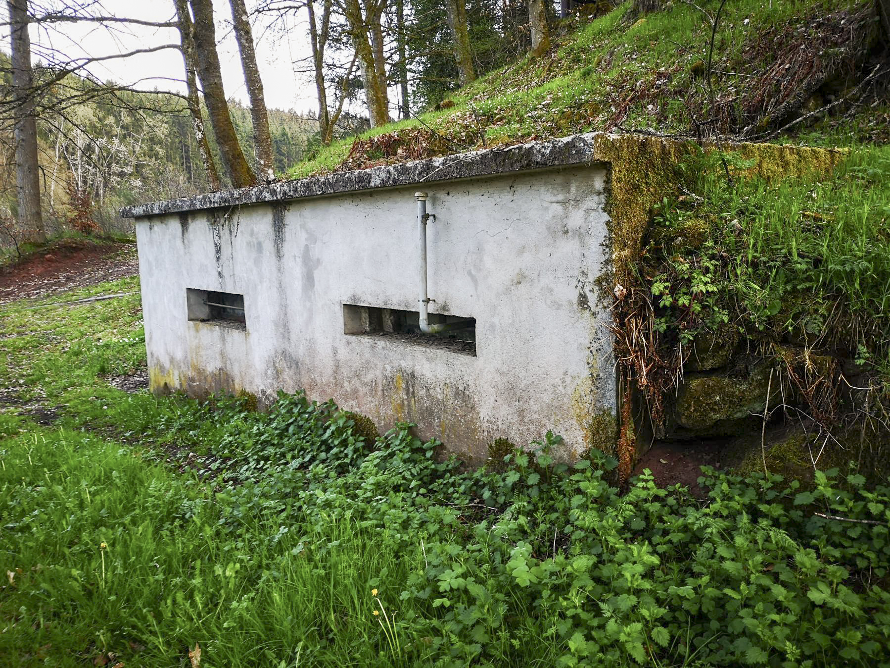 Ligne Maginot - STESCHBACH - (Blockhaus pour canon) - Le blockhaus reconverti en garage / hangar de stockage - DK_Antoine4