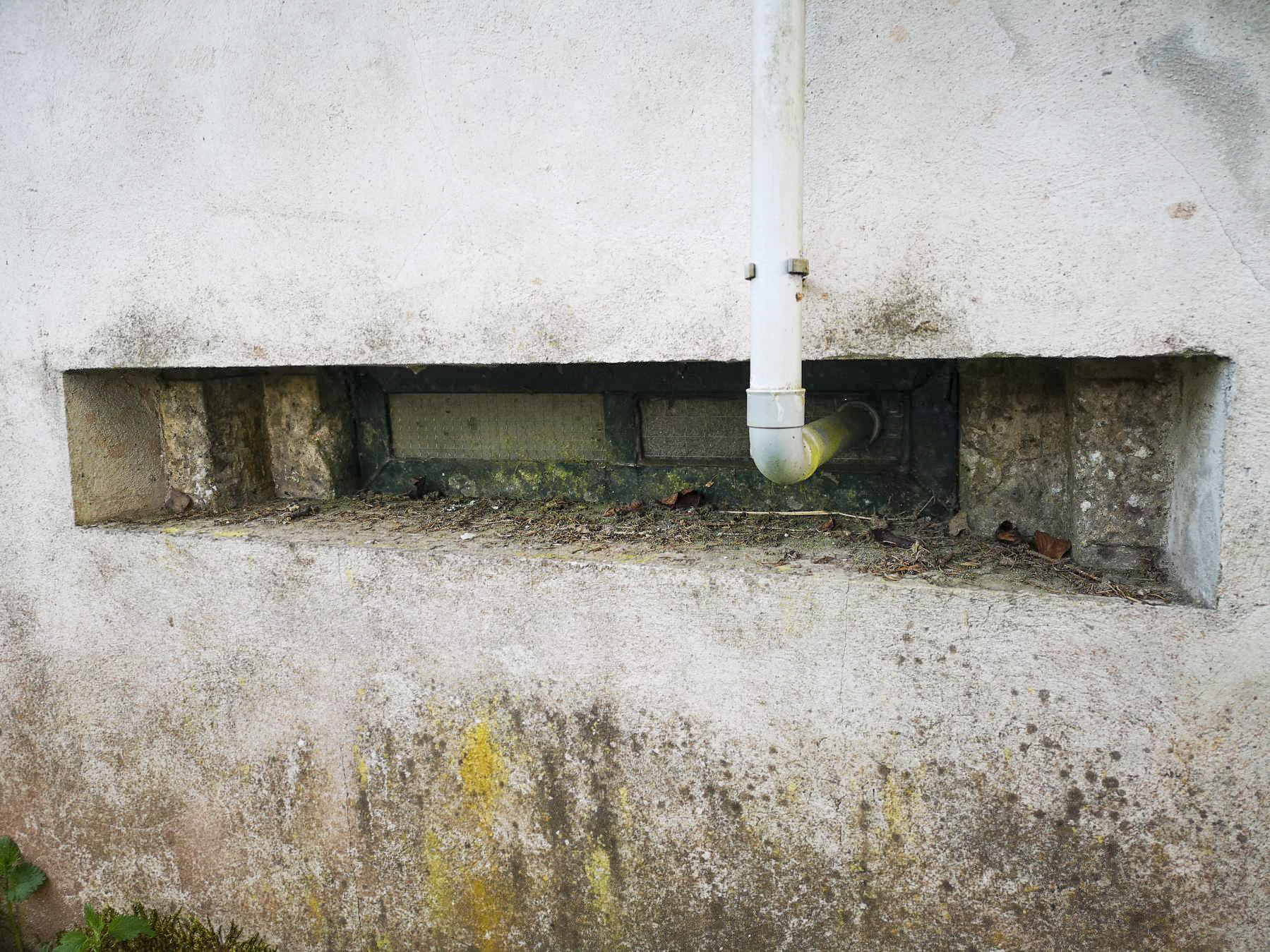Ligne Maginot - STESCHBACH - (Blockhaus pour canon) - Détail sur un créneau qui semble être pour antichar.  - DK_Antoine4