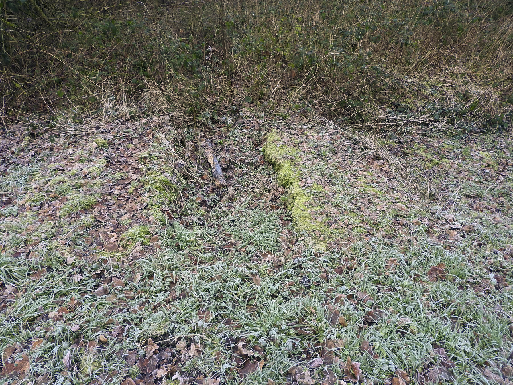 Ligne Maginot - 140 - (Barrage de Route) - Les vestiges de la barrière au bord de la route. - STENGER Mathieu