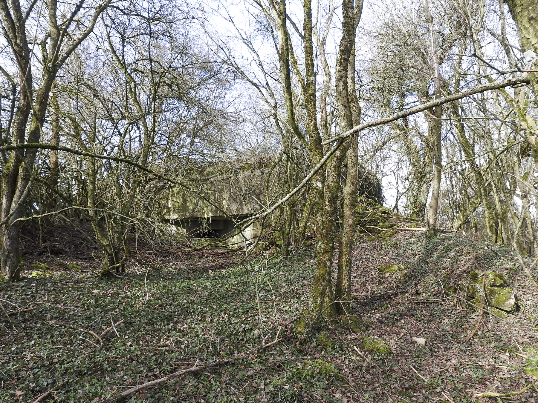 Ligne Maginot - AB16 - (Blockhaus pour canon) - Le blockhaus vu depuis l'Est. - STENGER Mathieu