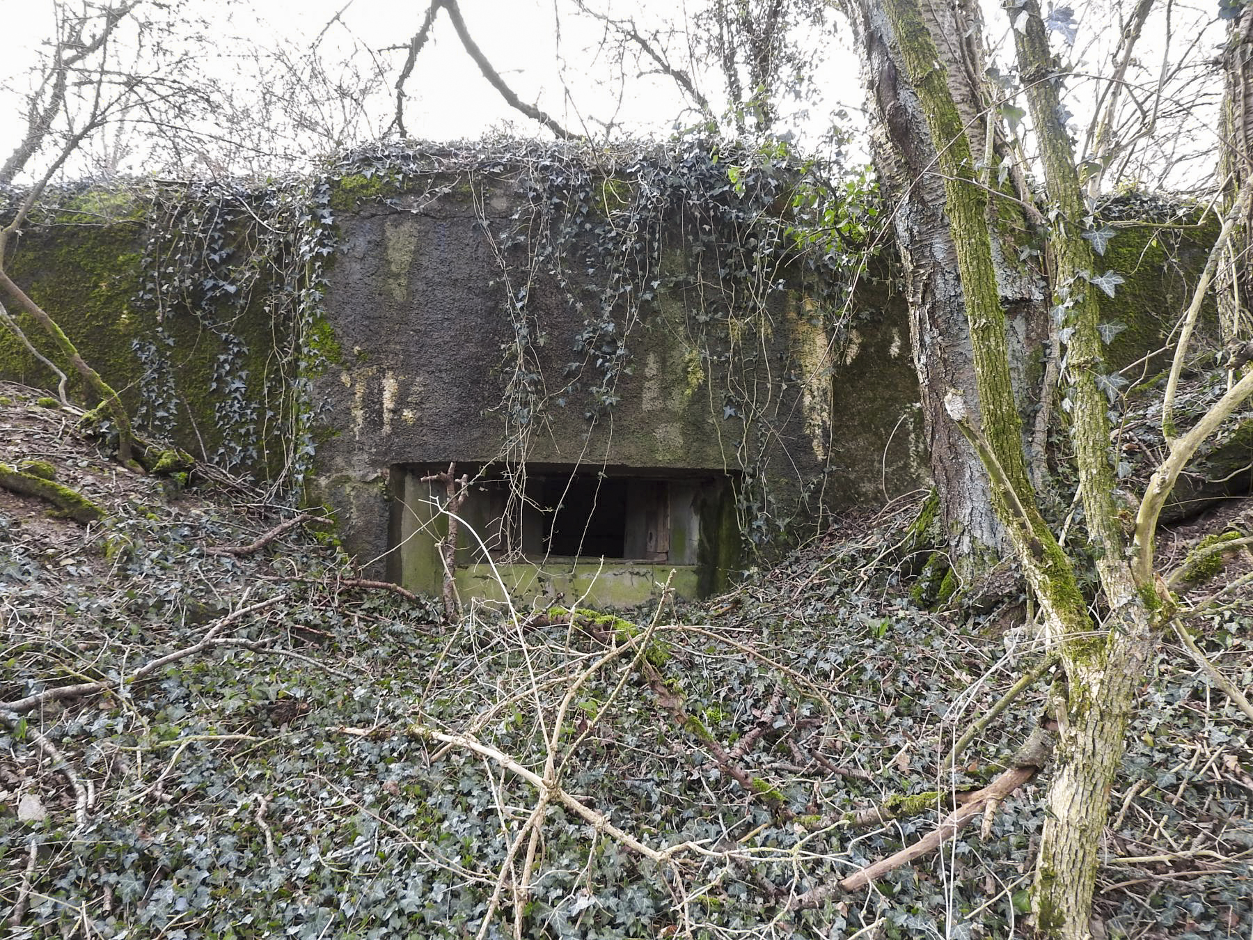 Ligne Maginot - AB16 - (Blockhaus pour canon) - Le créneau anti-char d'action frontale. - STENGER Mathieu
