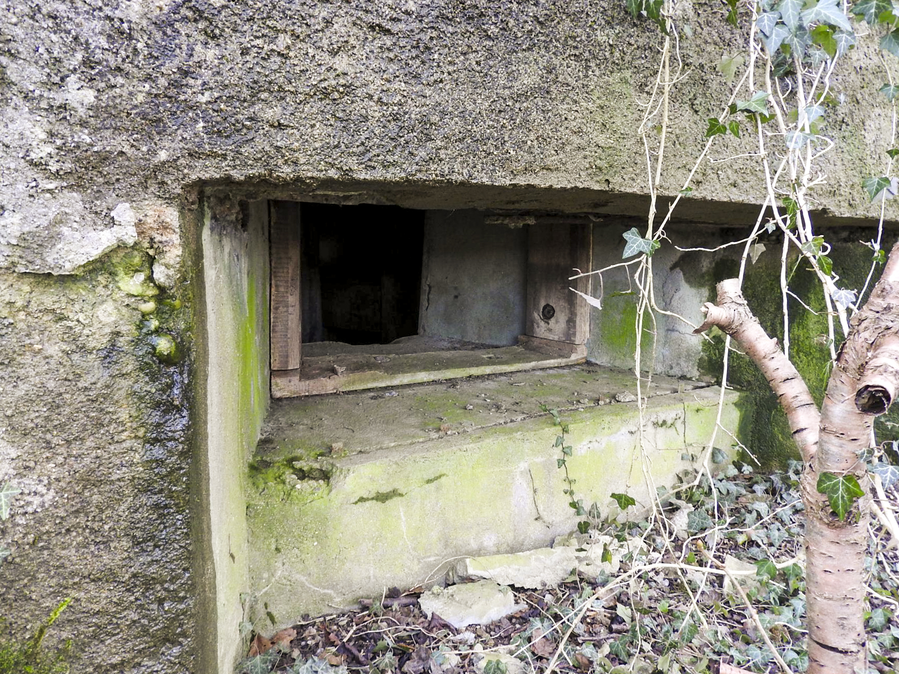 Ligne Maginot - AB16 - (Blockhaus pour canon) - Le créneau anti-char d'action frontale. - STENGER Mathieu