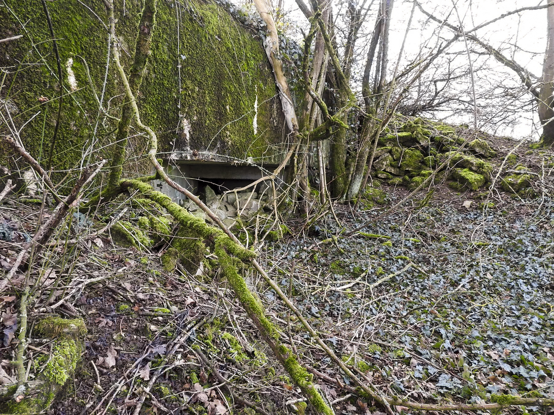 Ligne Maginot - AB16 - (Blockhaus pour canon) - Le flanquement vers la gauche. - STENGER Mathieu