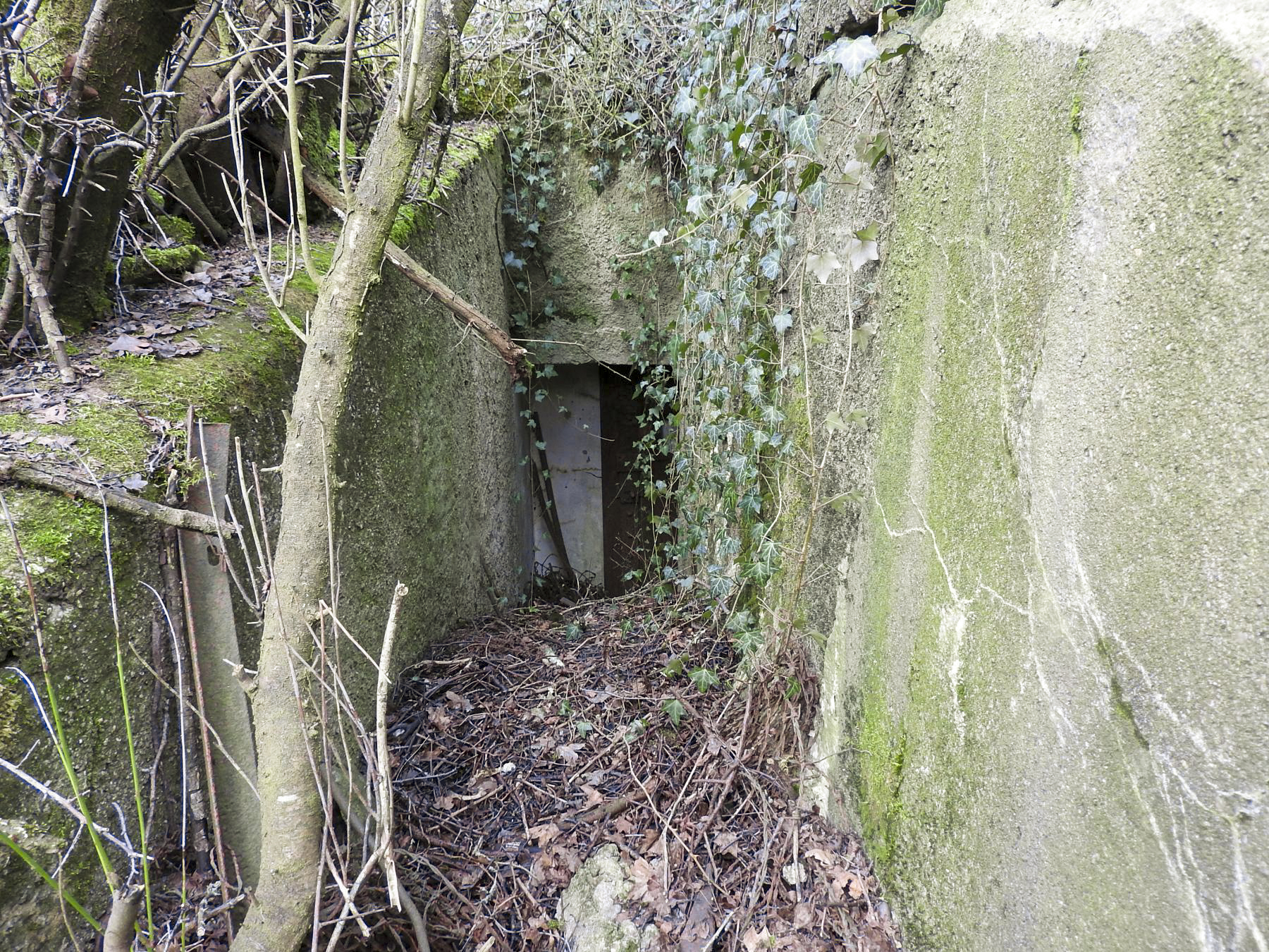 Ligne Maginot - AB16 - (Blockhaus pour canon) - L'entrée du blockhaus. - STENGER Mathieu