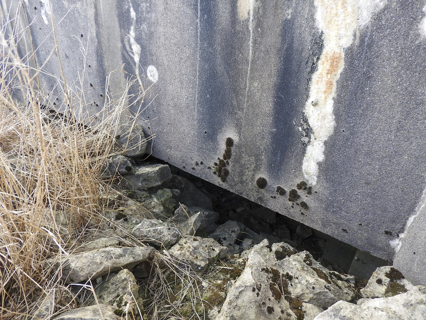 Ligne Maginot - AB17 - SCHOENERHOFF - (Blockhaus pour canon) - Le créneau de tir. - STENGER Mathieu