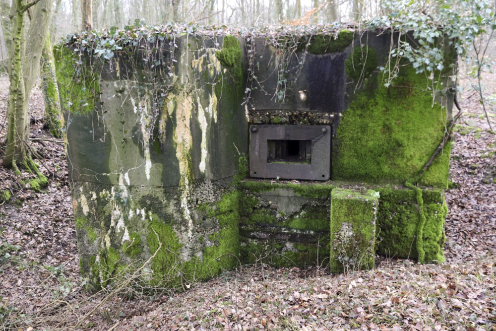 Ligne Maginot - ALTCOUPE - (Blockhaus pour arme infanterie) -  - Alain Perouffe