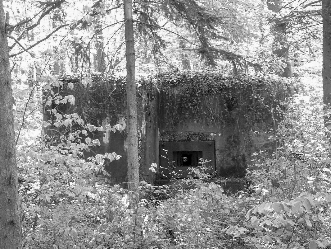 Ligne Maginot - ALTCOUPE - (Blockhaus pour arme infanterie) -  - Sylvie Laure LAMBERT