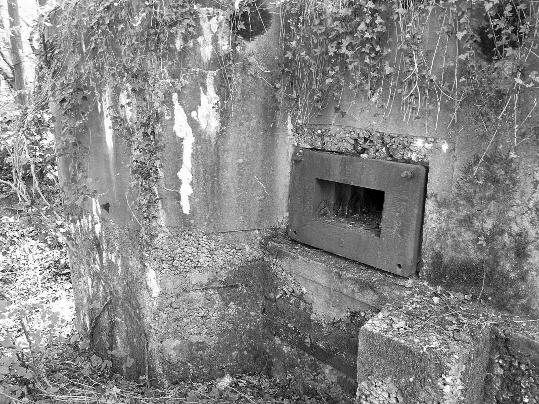 Ligne Maginot - ALTCOUPE - (Blockhaus pour arme infanterie) -  - Sylvie Laure LAMBERT