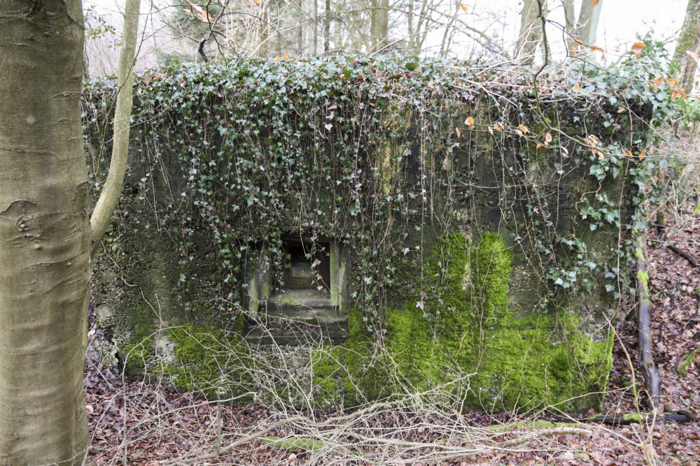 Ligne Maginot - ALTCOUPE - (Blockhaus pour arme infanterie) -  - Alain Perouffe