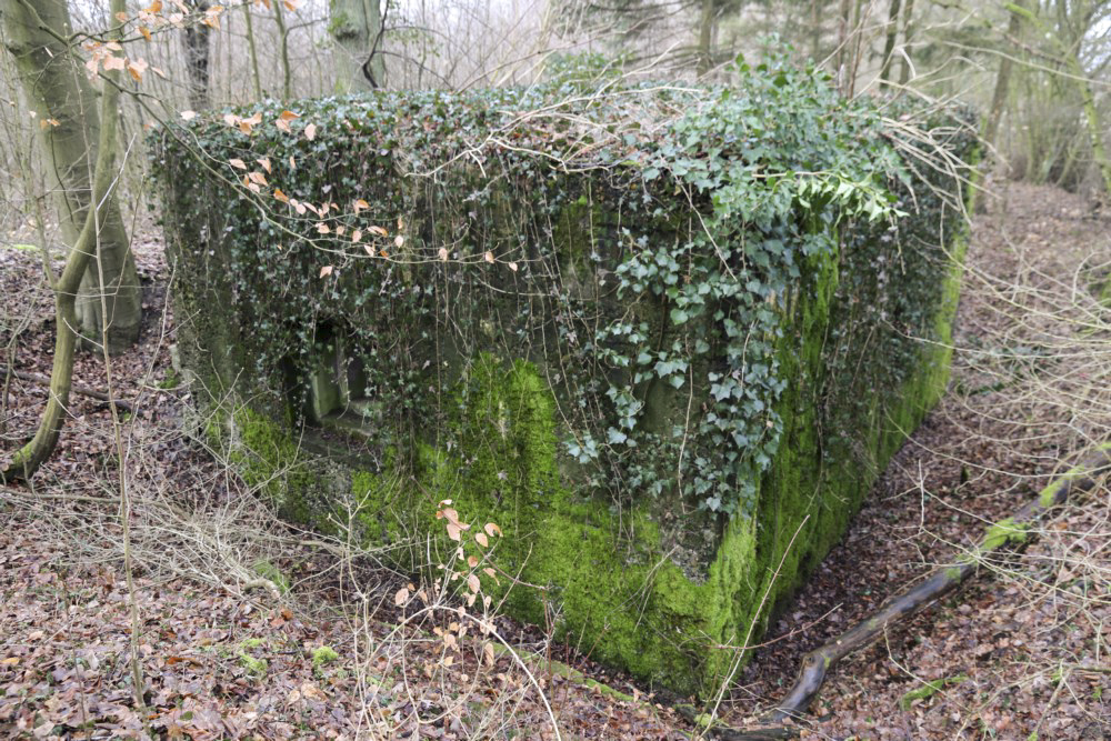 Ligne Maginot - ALTCOUPE - (Blockhaus pour arme infanterie) -  - Alain Perouffe