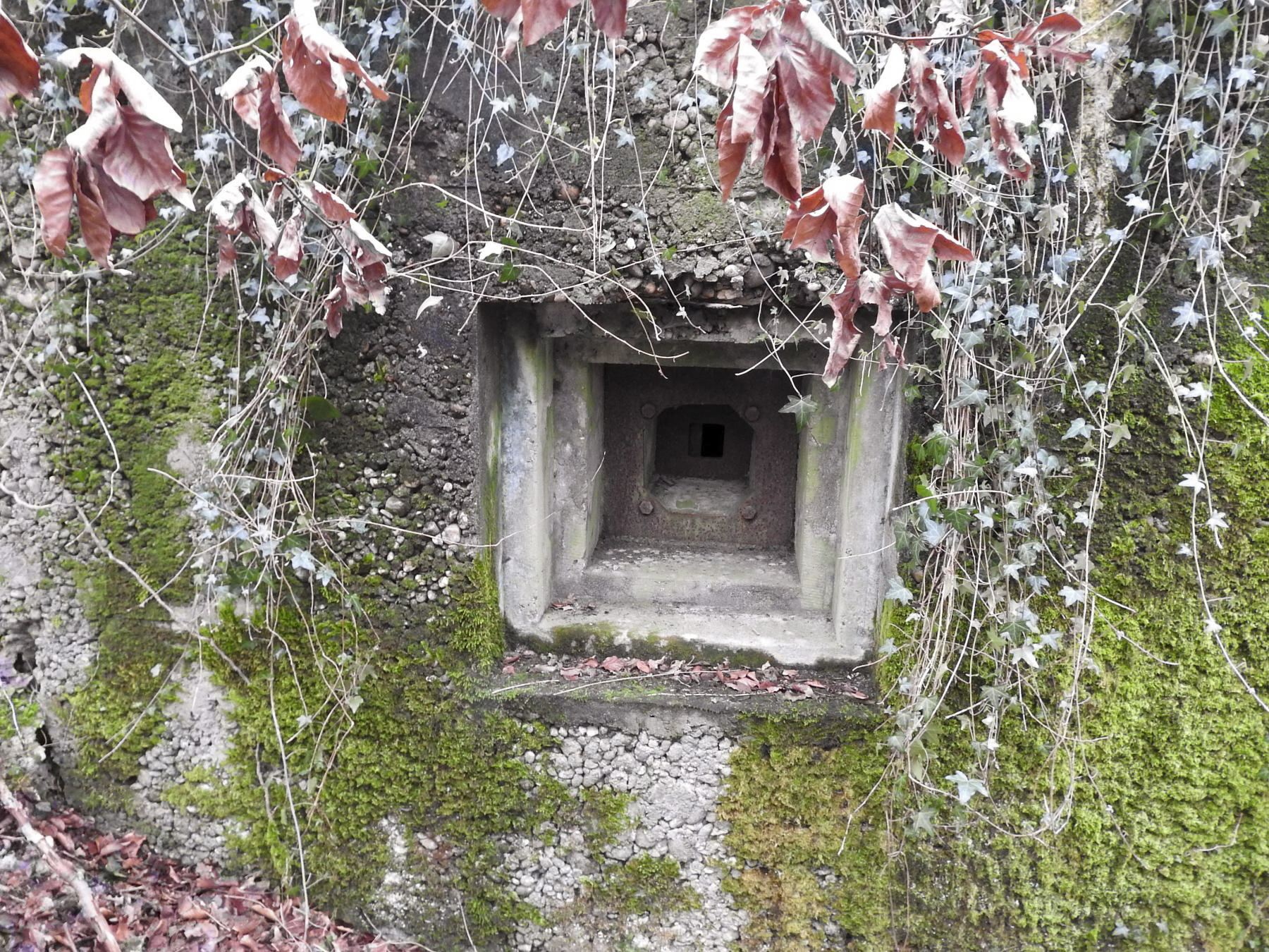 Ligne Maginot - ALTCOUPE - (Blockhaus pour arme infanterie) - Le créneau pour FM. - STENGER Mathieu