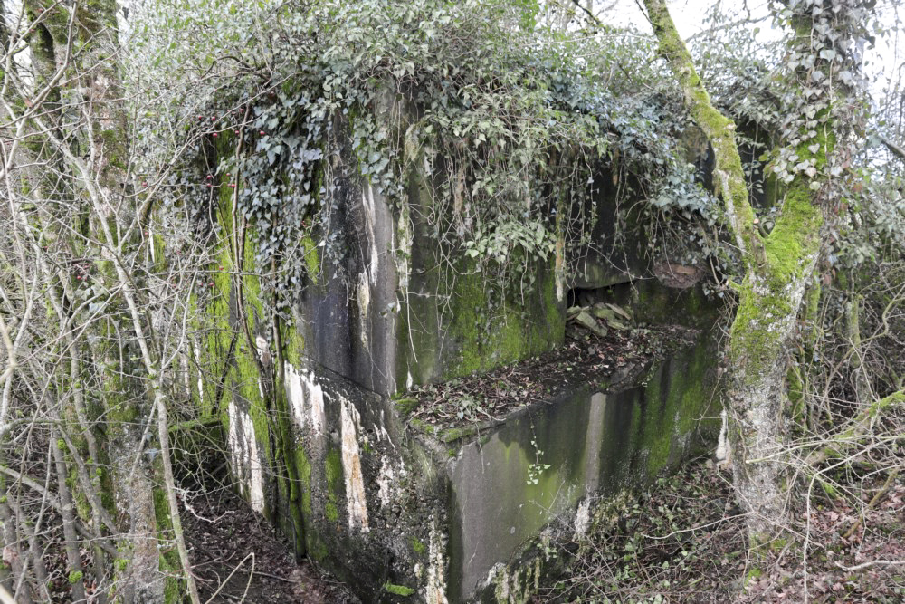 Ligne Maginot - ALTCOUPE NORD - (Blockhaus pour canon) -  - Alain Perouffe