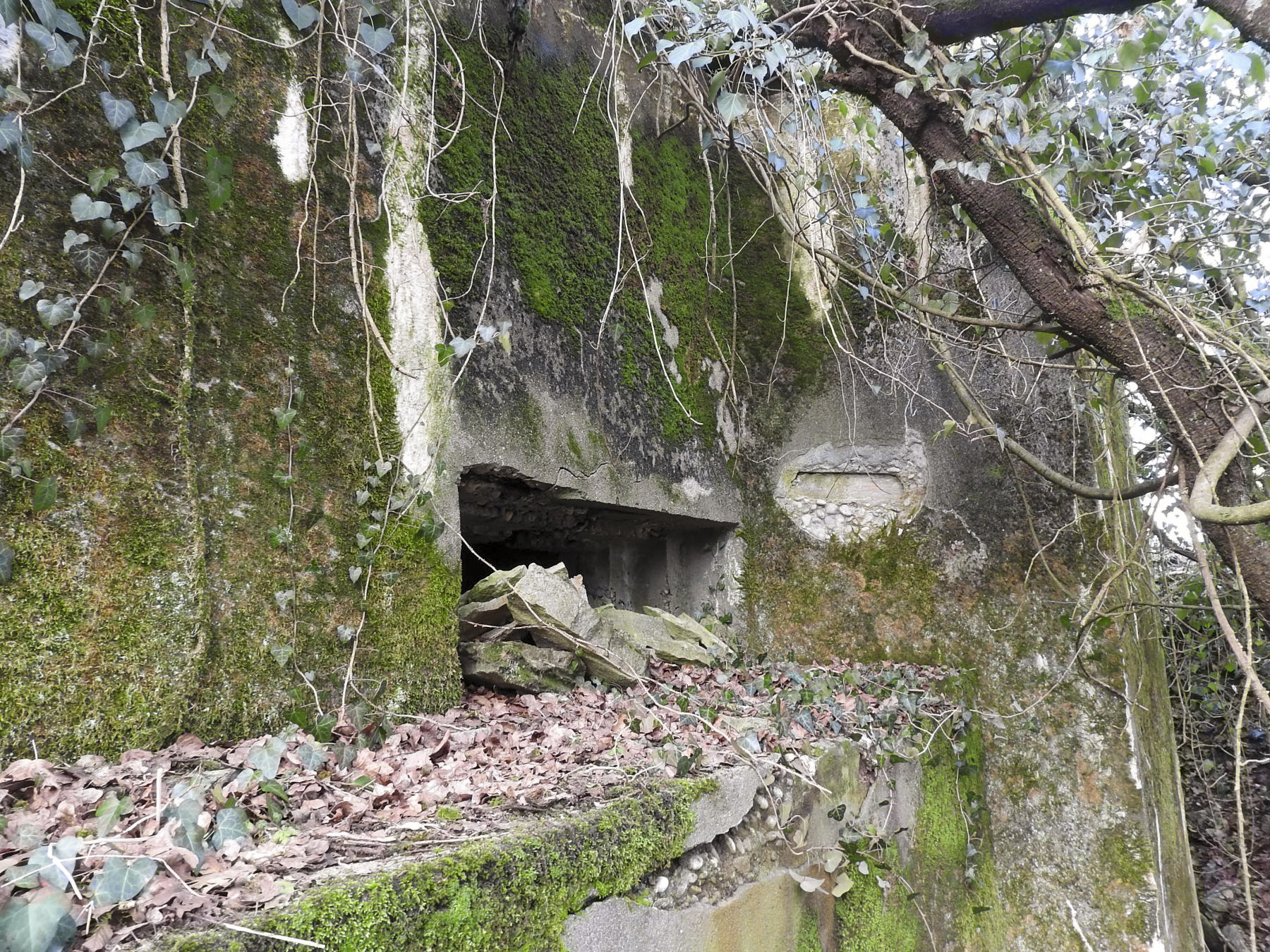 Ligne Maginot - ALTCOUPE NORD - (Blockhaus pour canon) - L'embrasure du blockhaus. - STENGER Mathieu