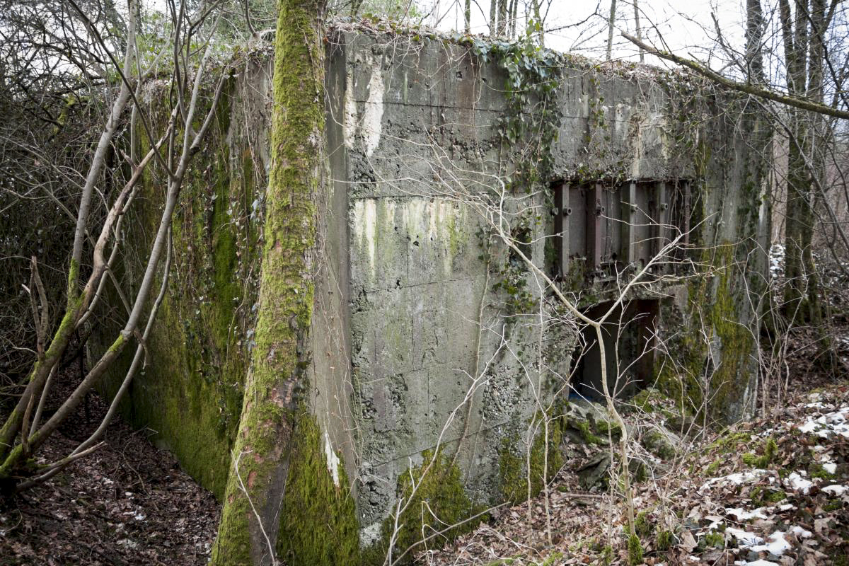 Ligne Maginot - ALTCOUPE NORD - (Blockhaus pour canon) - Façade arrière - Fré Do