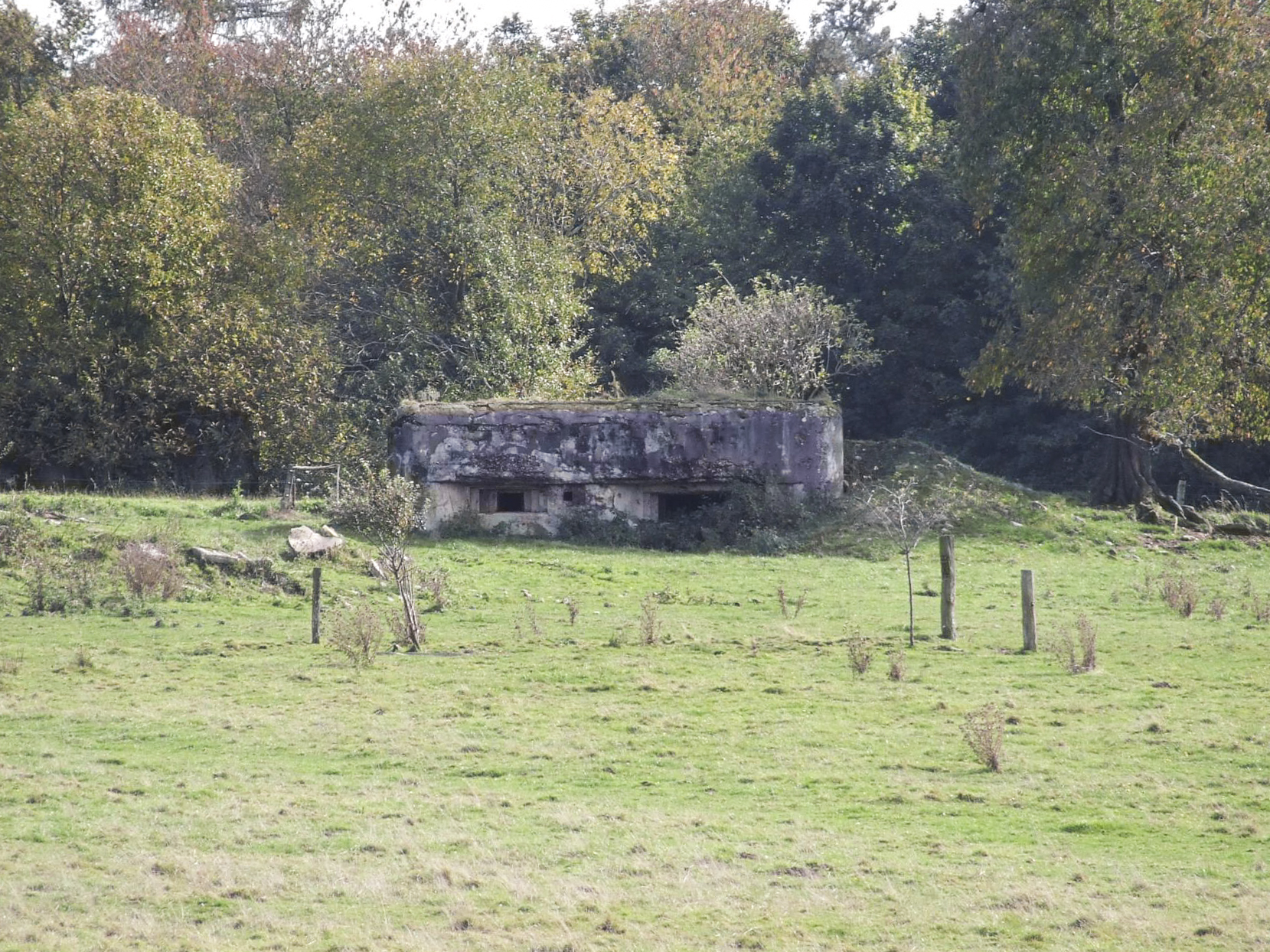 Ligne Maginot - FERME DE FREUDENBERG 1 - (Blockhaus pour arme infanterie) - Le blockhaus vu depuis la route du Légeret. - STENGER Mathieu