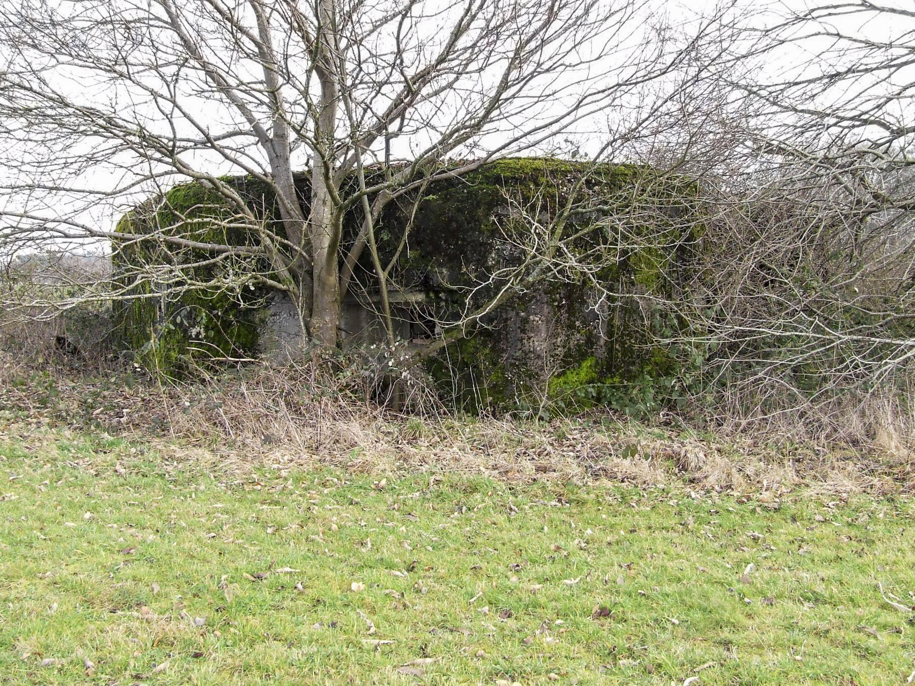 Ligne Maginot - FERME DE FREUDENBERG 2 - (Blockhaus de type indéterminé) - Le blockhaus vu depuis la lisière de la forêt. - STENGER Mathieu