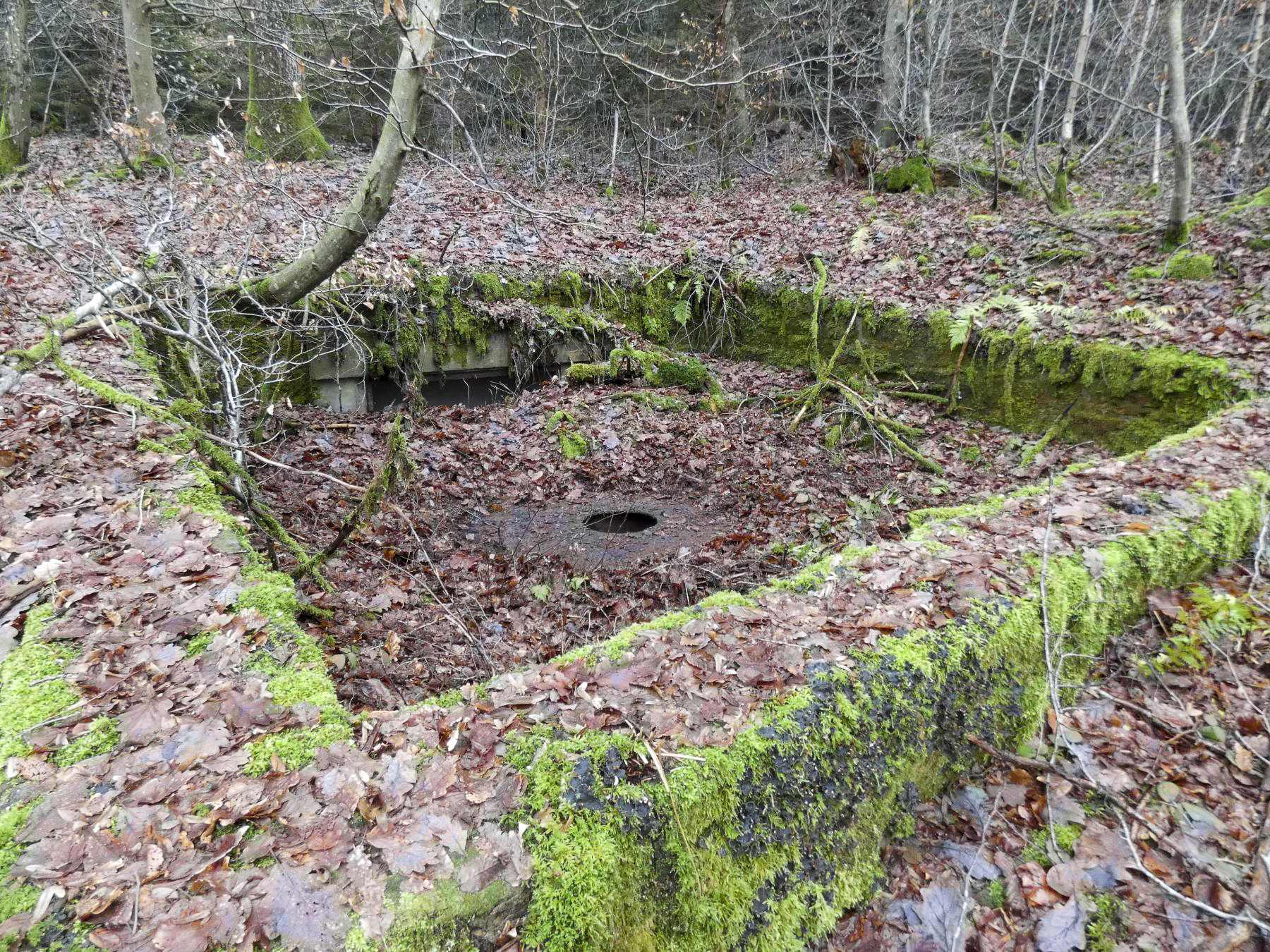 Ligne Maginot - HOLZSCHLAG 2 - (Cuve pour canon) - La cuve pour un canon de 47. On distingue la plaque de fixation et une niche à munitions. - STENGER Mathieu