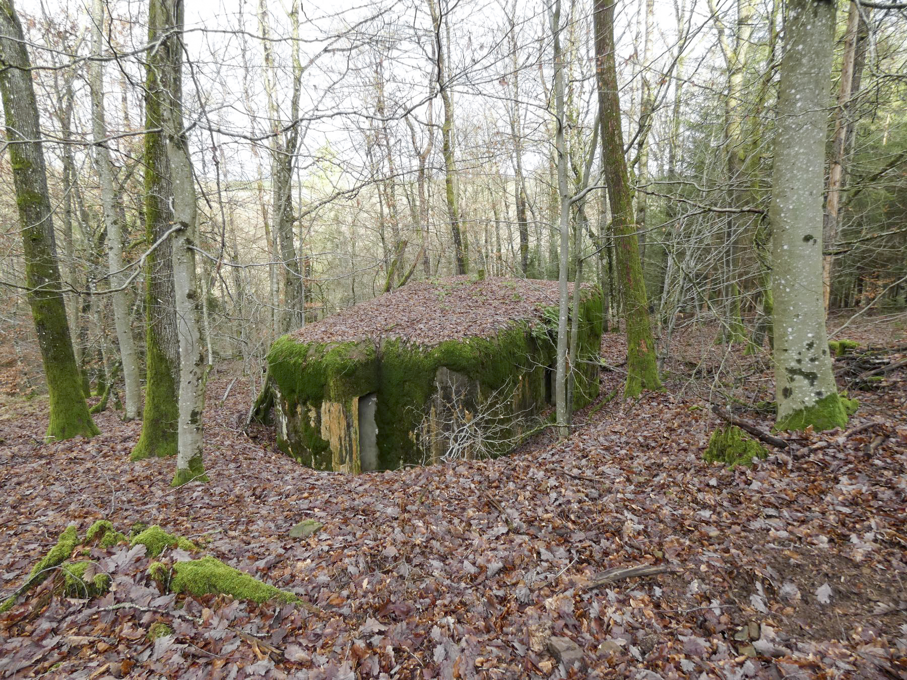 Ligne Maginot - HOLZSCHLAG 3 - (Blockhaus pour canon) - Une vue d'ensemble du blockhaus. - STENGER Mathieu
