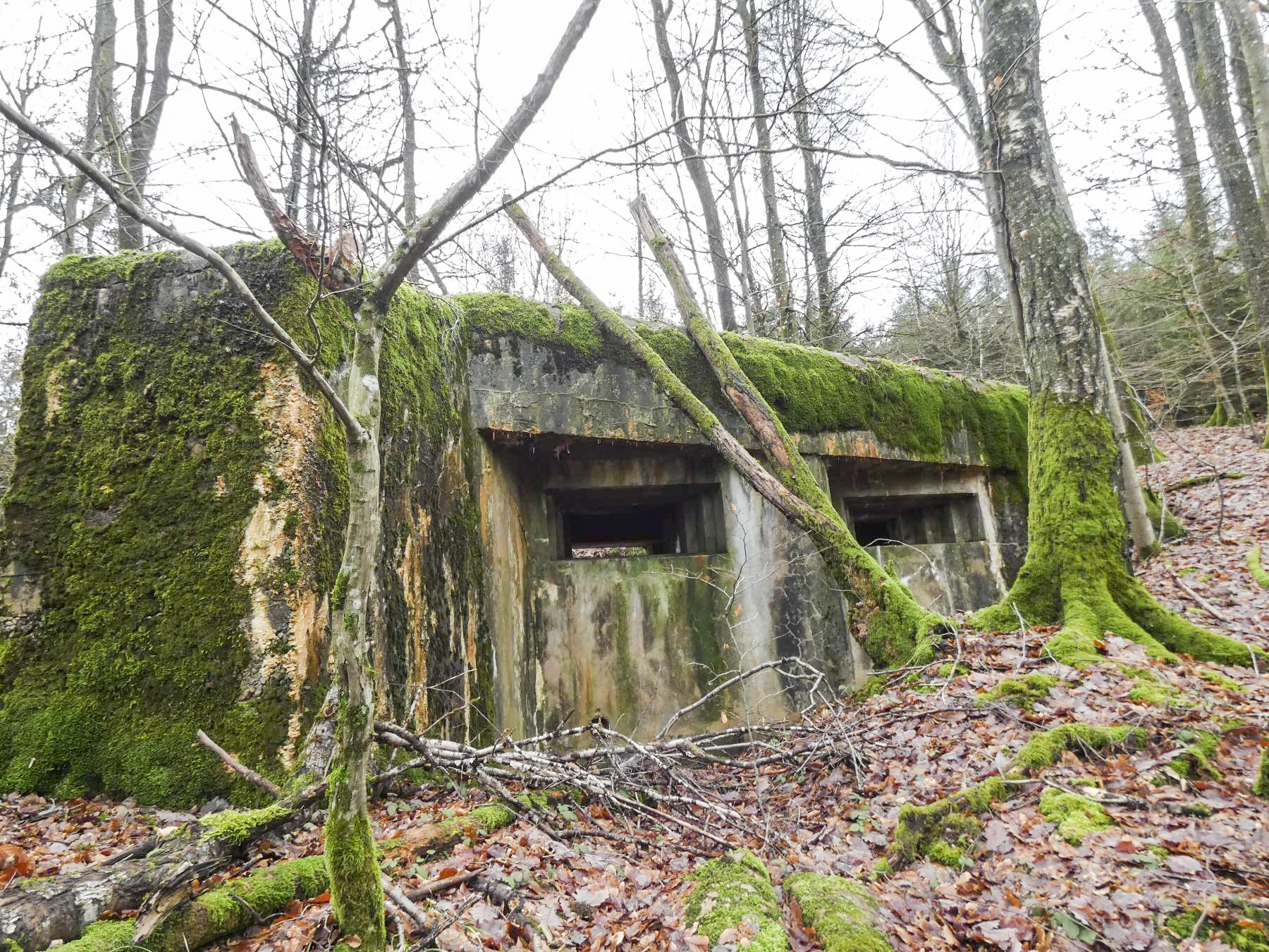 Ligne Maginot - HOLZSCHLAG 3 - (Blockhaus pour canon) - La façade de tir.
Remarquez l'épaisseur du mur d'aile. - STENGER Mathieu