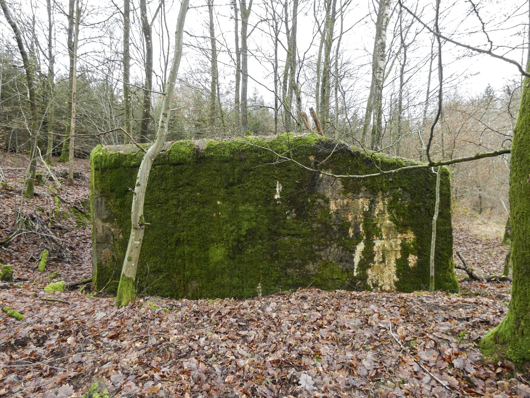 Ligne Maginot - HOLZSCHLAG 3 - (Blockhaus pour canon) - Le blockhaus vu depuis l'Est. - STENGER Mathieu