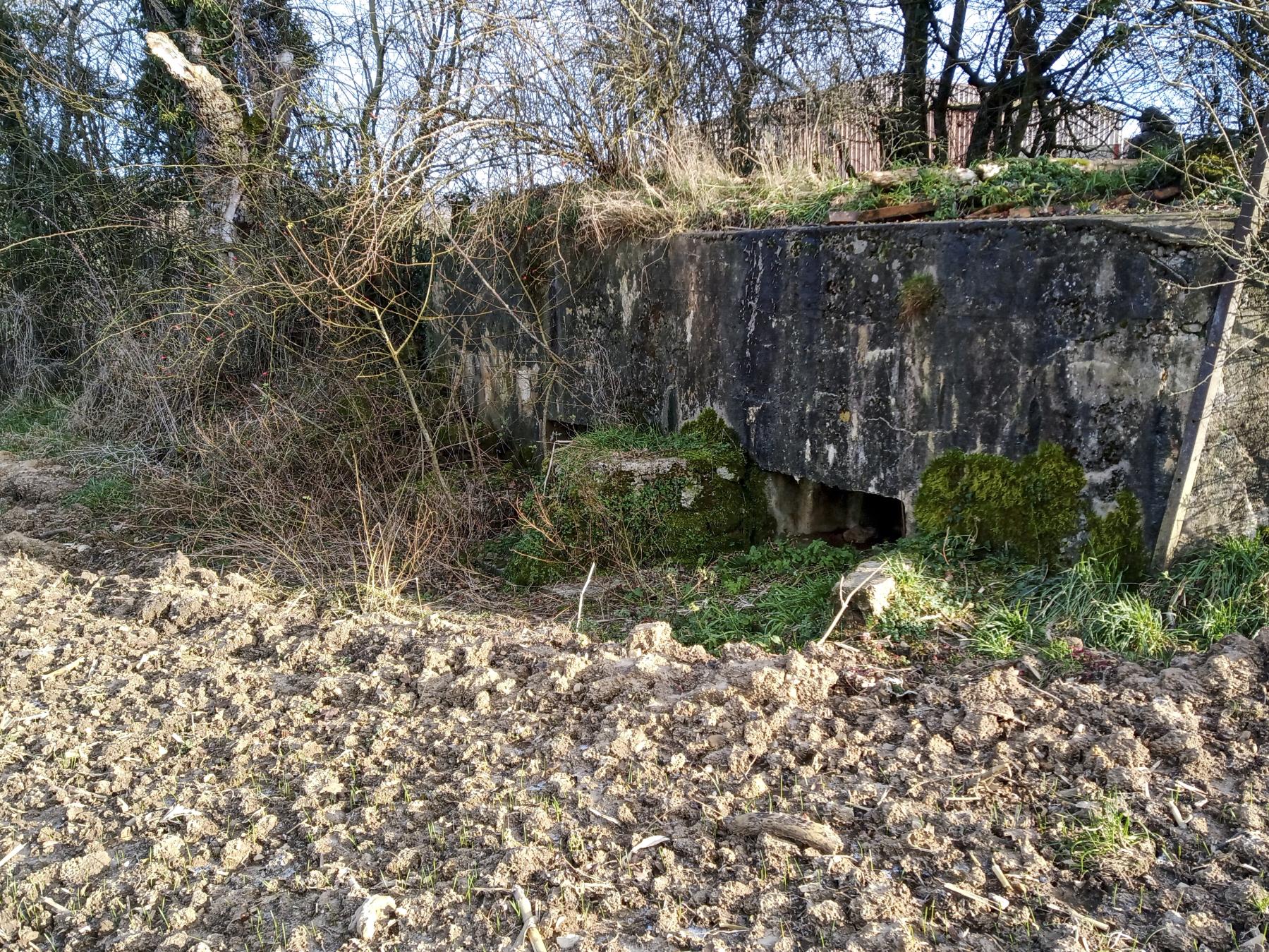 Ligne Maginot - 54 - VELOSNES OUEST - (Blockhaus pour arme infanterie) -  - Marc Fossoul