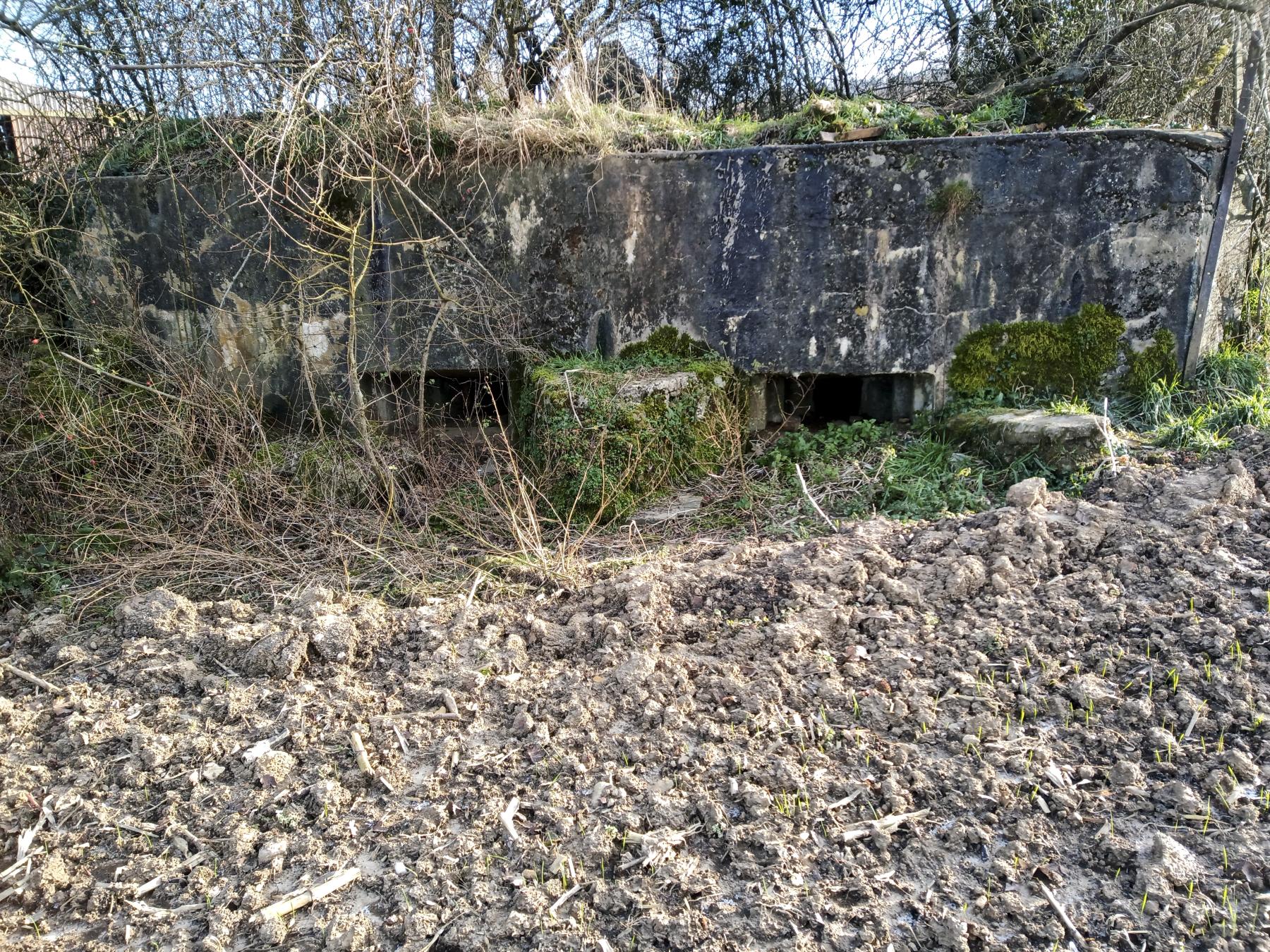 Ligne Maginot - 54 - VELOSNES OUEST - (Blockhaus pour arme infanterie) -  - Marc Fossoul