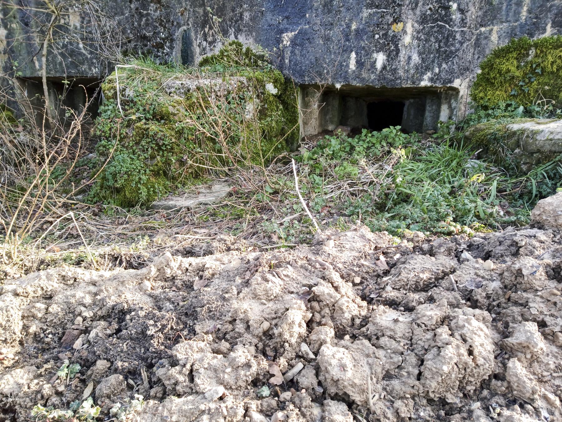 Ligne Maginot - 54 - VELOSNES OUEST - (Blockhaus pour arme infanterie) -  - Marc Fossoul
