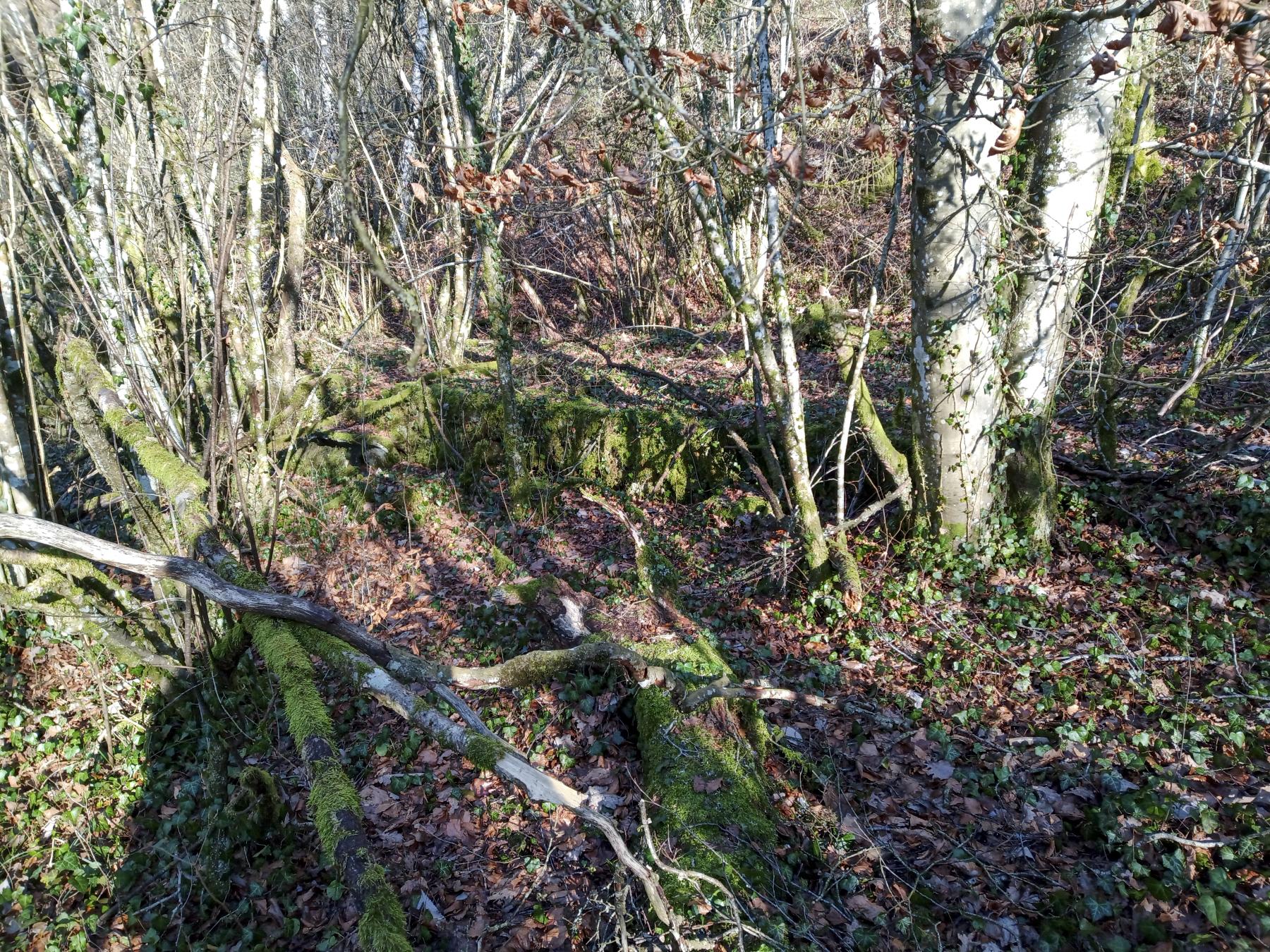 Ligne Maginot - VELOSNES - (Casernement) - Les restes du casernement - Marc Fossoul