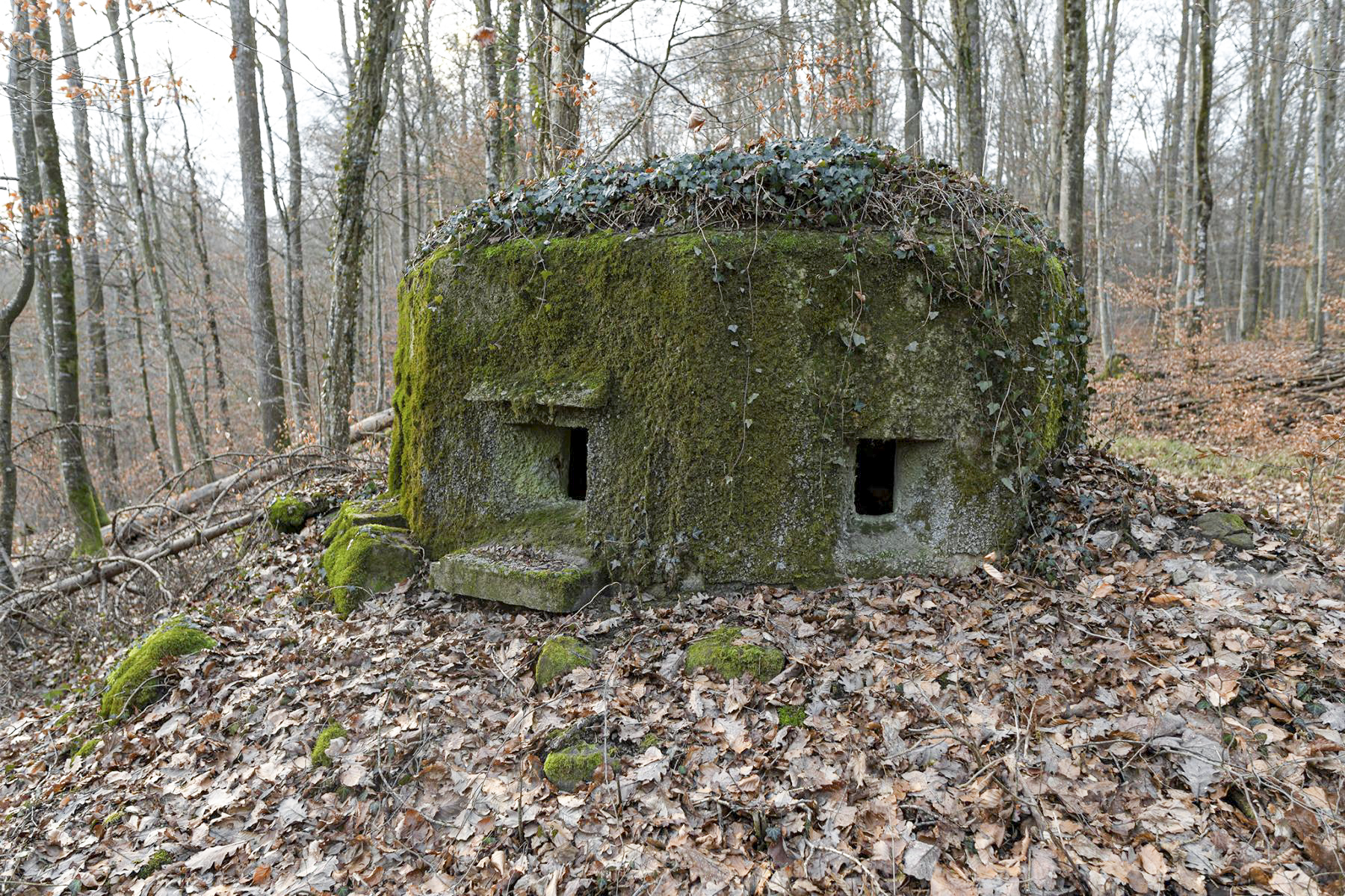 Ligne Maginot - FM18 - ROUTE DE LA VERRERIE 3 - (Blockhaus pour arme infanterie) -  - David Palmer