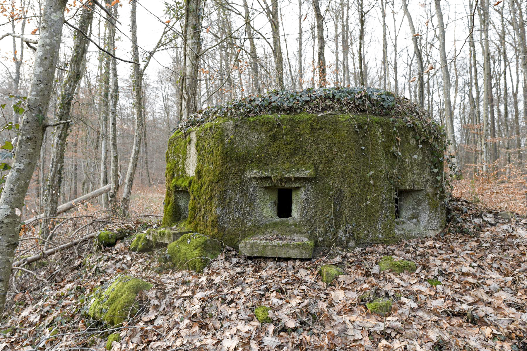 Ligne Maginot - FM18 - ROUTE DE LA VERRERIE 3 - (Blockhaus pour arme infanterie) -  - David Palmer