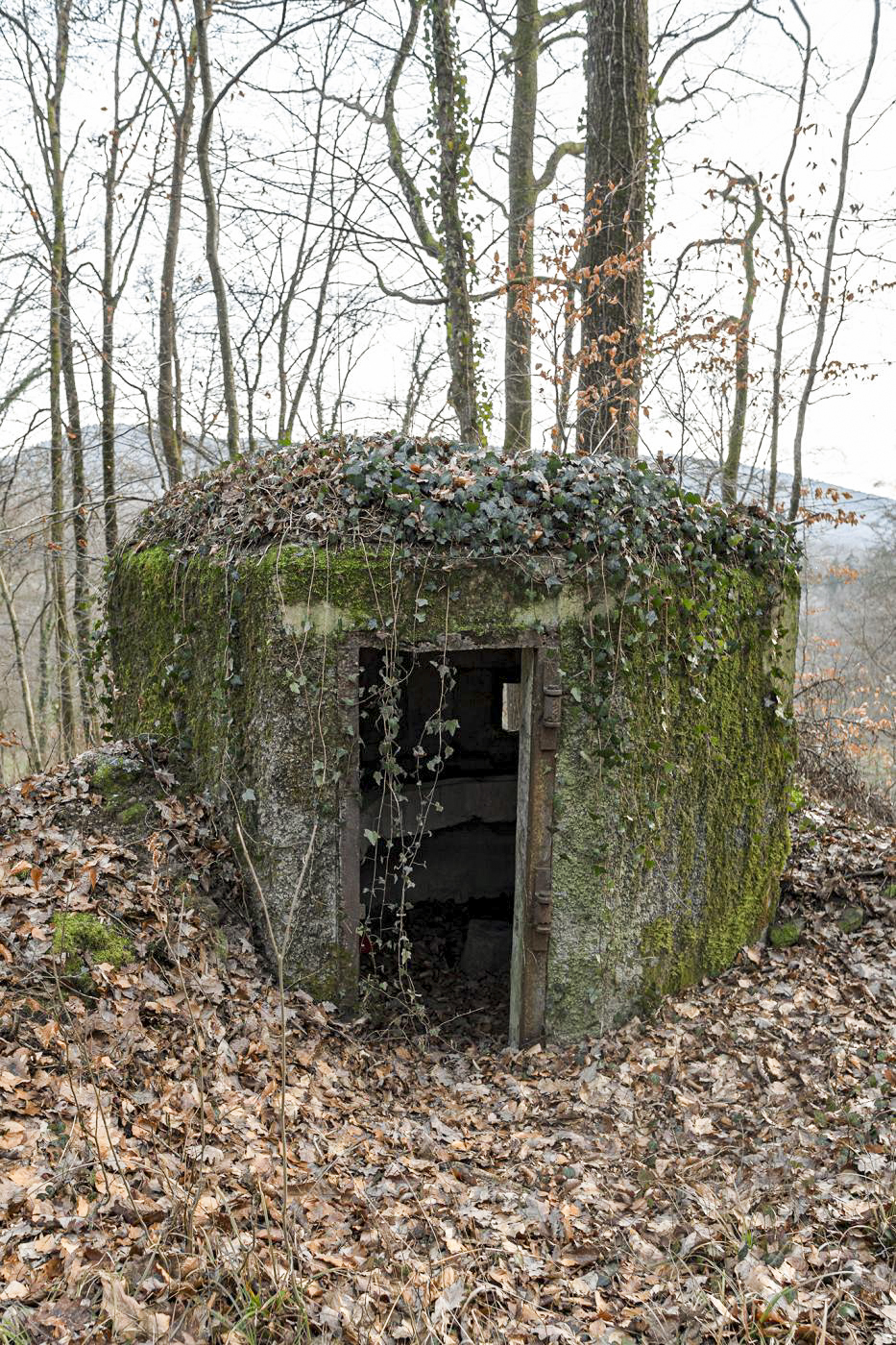 Ligne Maginot - FM18 - ROUTE DE LA VERRERIE 3 - (Blockhaus pour arme infanterie) -  - David Palmer