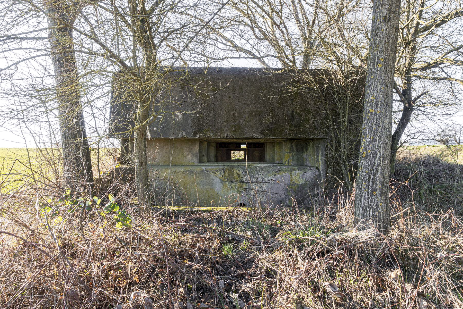 Ligne Maginot - KOHLFELD - (Blockhaus pour canon) -  - David Palmer