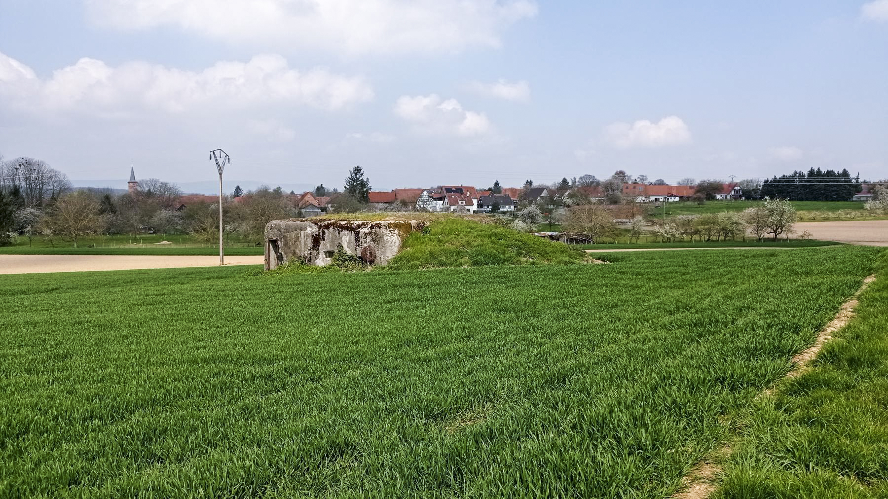 Ligne Maginot - BETTELSTOCK - (Blockhaus pour canon) - Vue sur la façade arrière, au second plan Hunspach - Baptiste GAUDIN